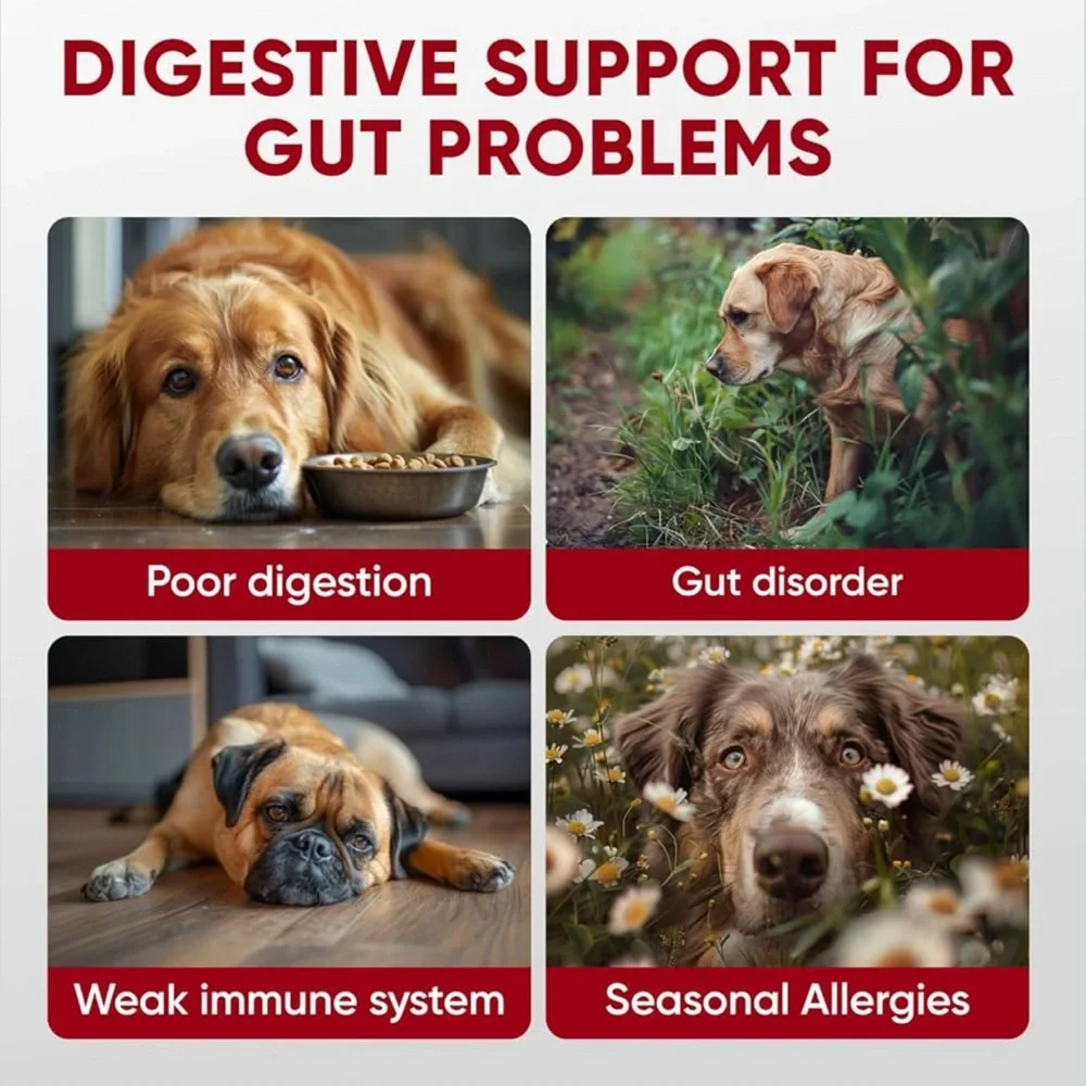 Pawzitive Pets Probiotic & Enzymes Digestive + Coat Health Soft Chews 120 ct
